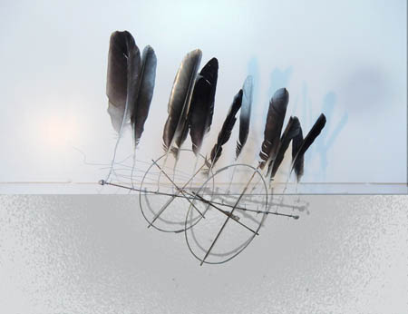 M41 ueber der Kimm kopieren